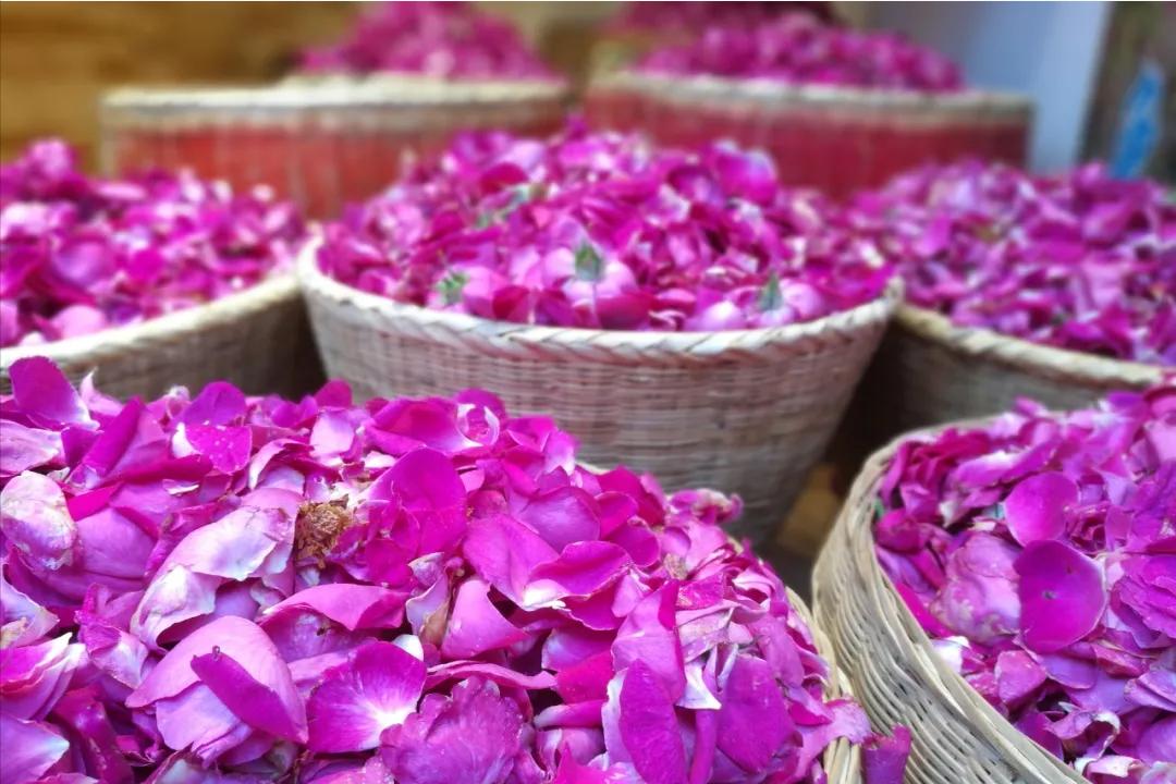 防晒隔离骨质疏松,防晒骨质疏松