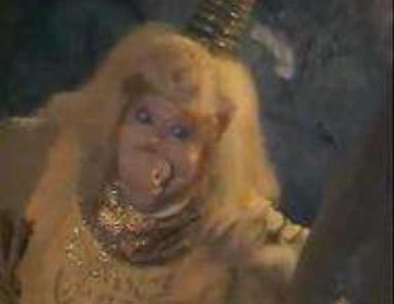 十二生肖的历史故事和传说,历史各种神话与十二生肖紧紧相连