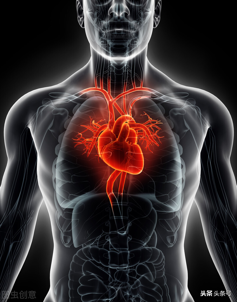 两侧胳膊血压相差多少正常,两侧上肢血压相差太多怎么回事