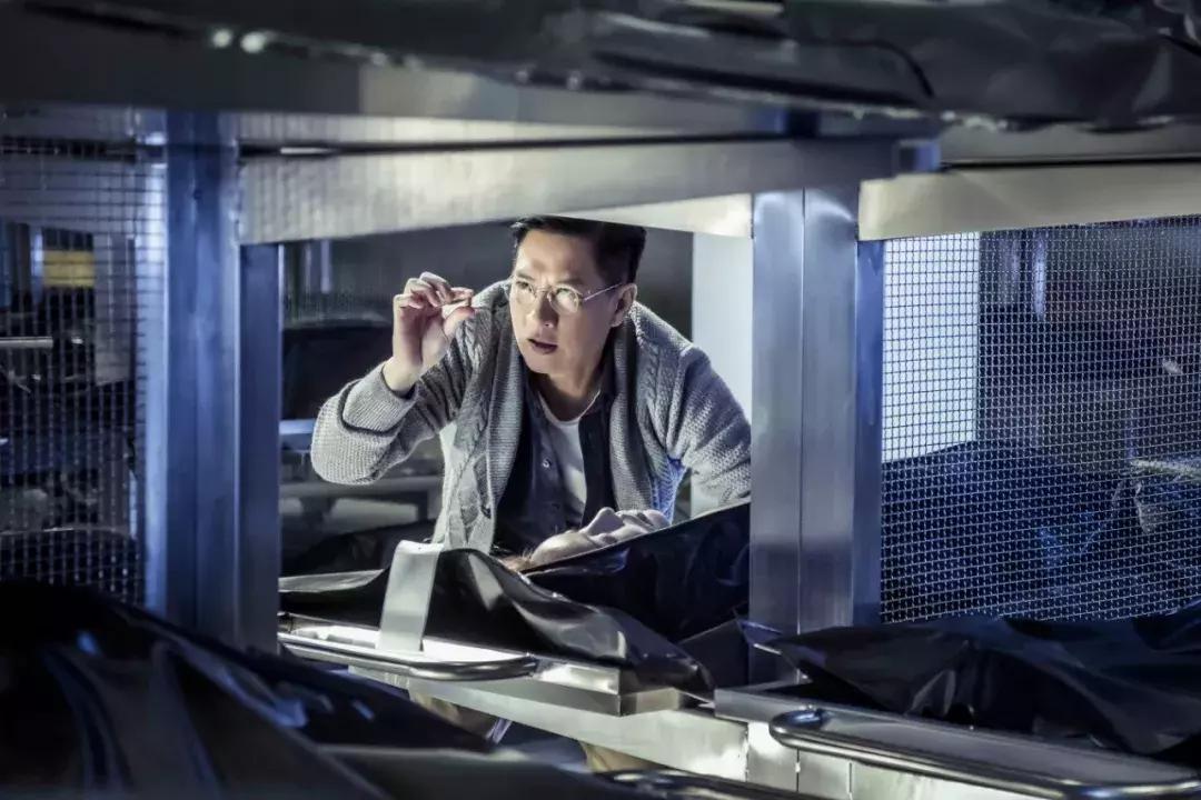 杨紫张家辉任贤齐的电影叫什么,杨紫张家辉沉默的证人最后一集