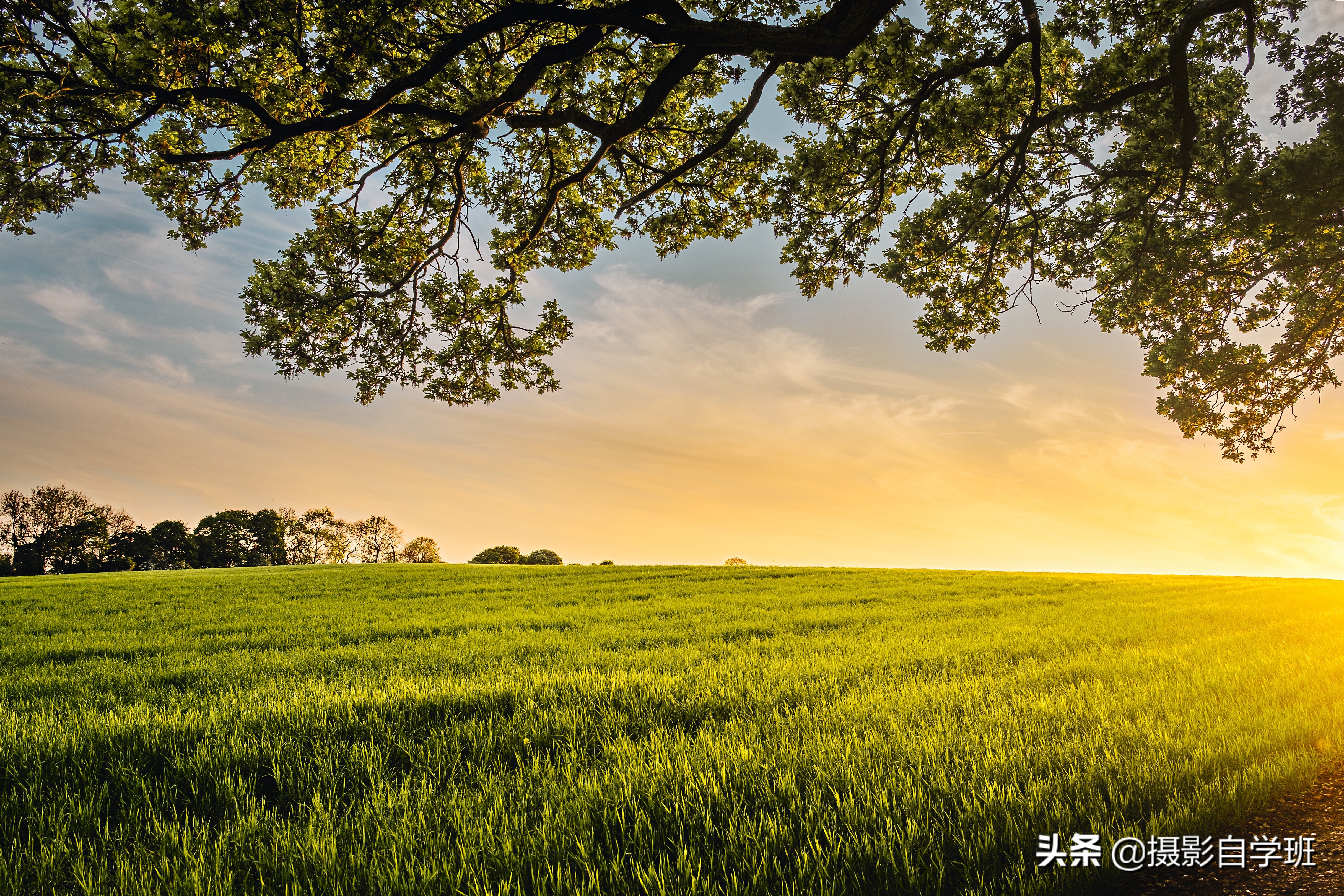苹果手机的拍照技巧的正确使用,苹果手机拍照功能全部技巧教程