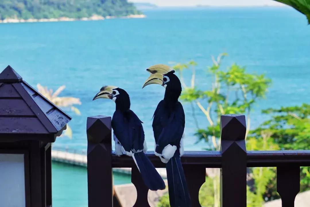 绿中海山水苑,绿中海