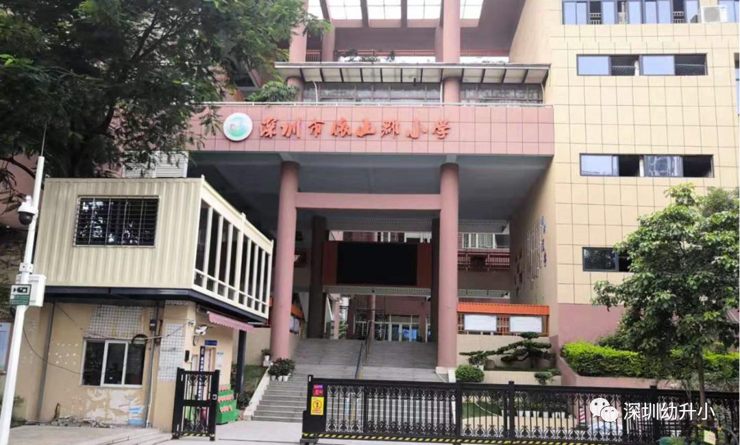 王炸组合2023排名,初中选科王炸组合