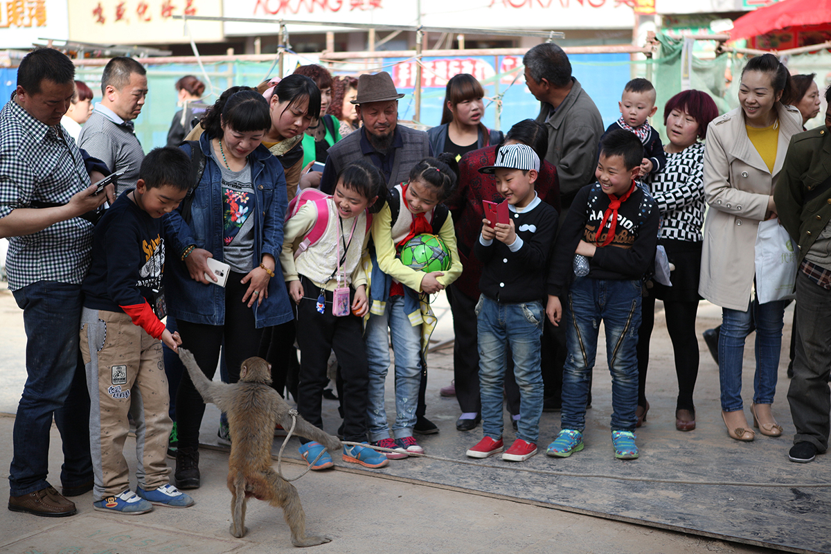 兰州耍猴人,甘肃兰州的耍猴艺人