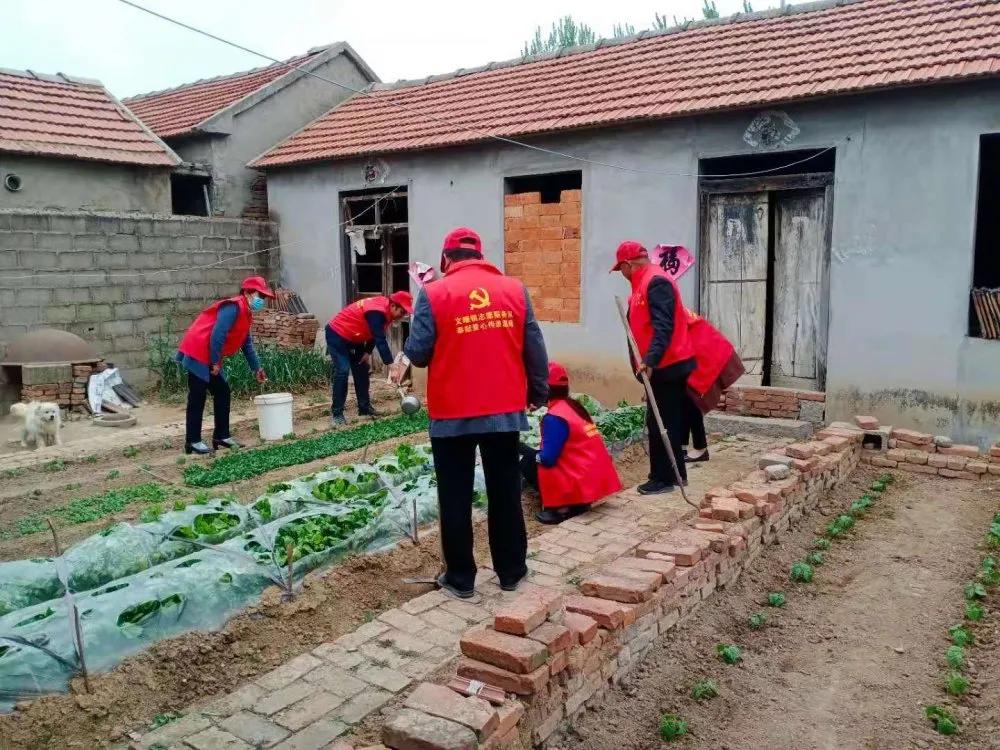 4月党员志愿服务活动,4月份党员开展志愿服务活动内容