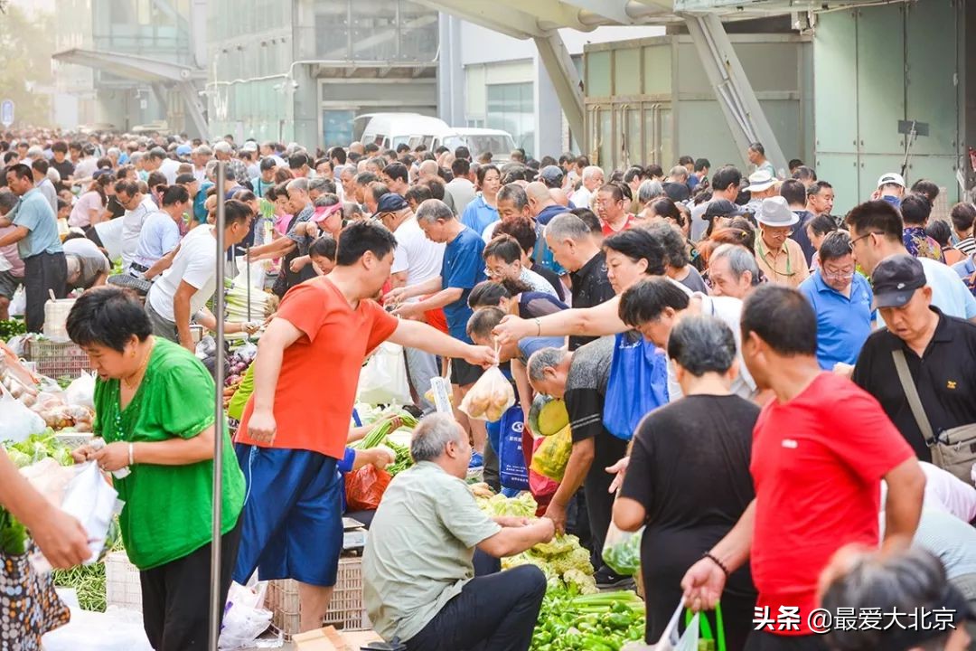 带你逛北京最大早市,北京正宗早市推荐