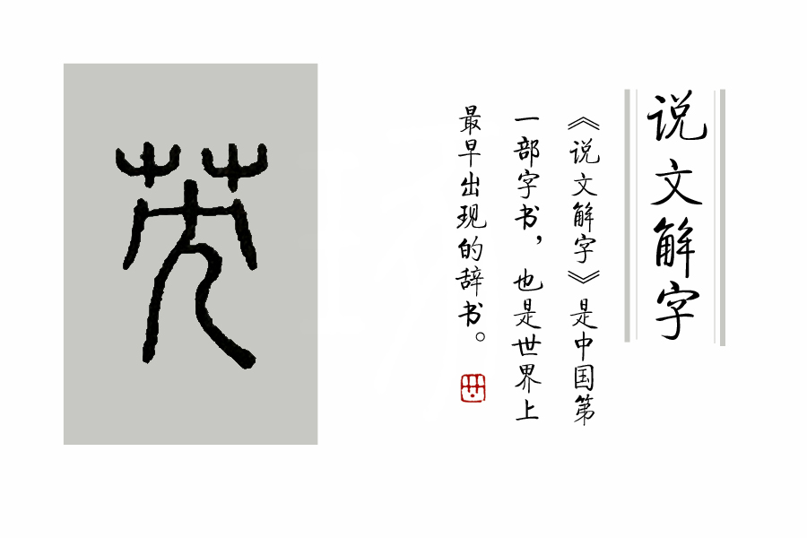 《说文解字》第72课：古文字里的“扫帚菜”？