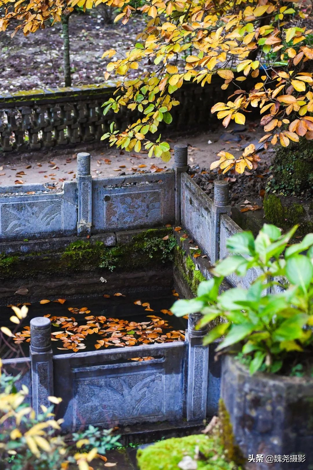 留坝秦岭之夜,留坝秦岭森林公园