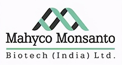 转基因调查纪录片,转基因农作物深度研究报告