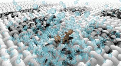 洗床单洗衣机里放点它洗得特干净,洗床单放多少洗衣液可以洗干净