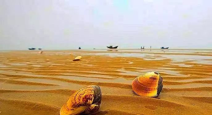 【读历史游盘锦】轻蓑著篷背，日暮渔者还特色渔村二界沟