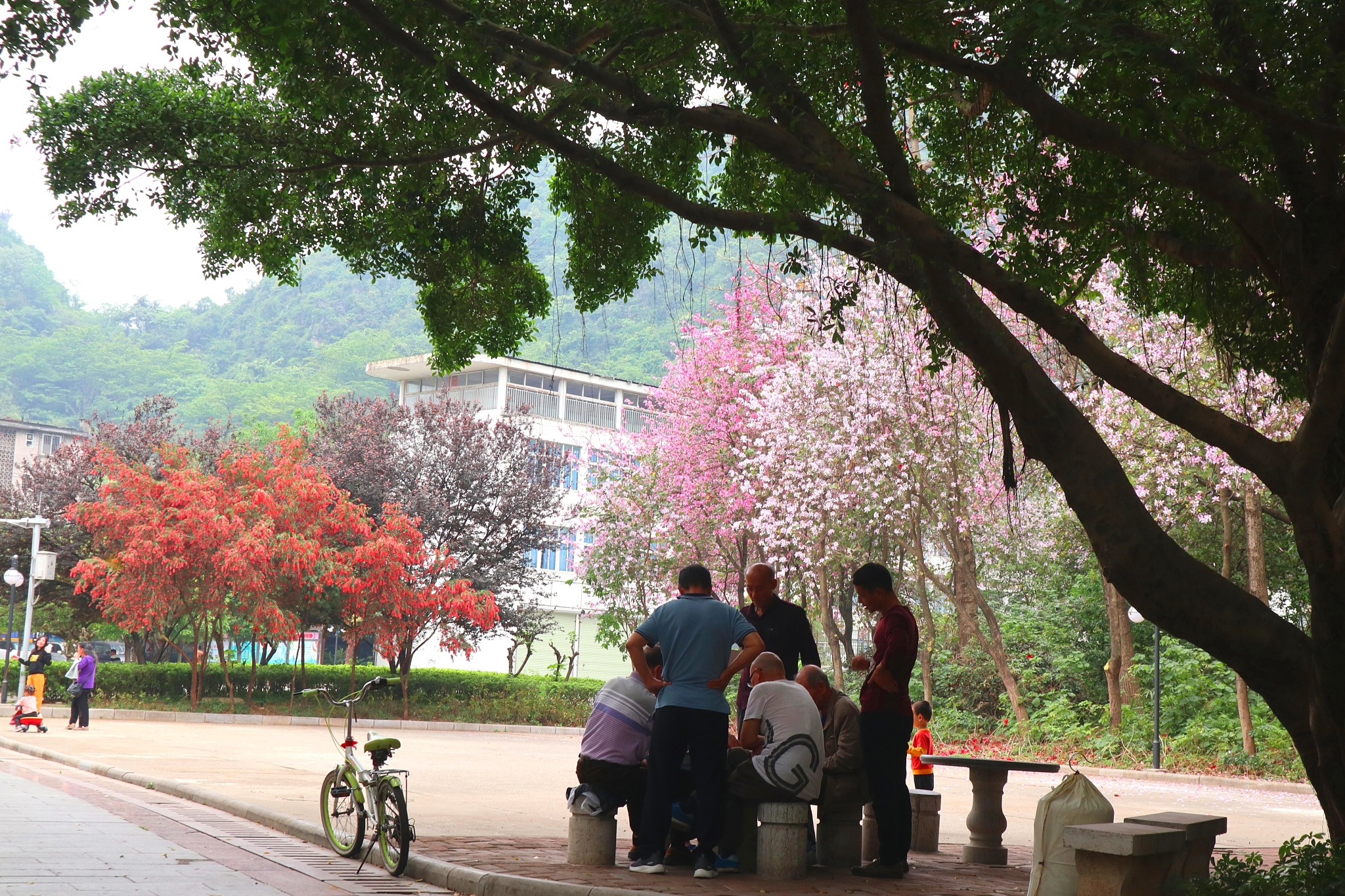 广西柳州旅行攻略,柳州市区一日游旅游攻略