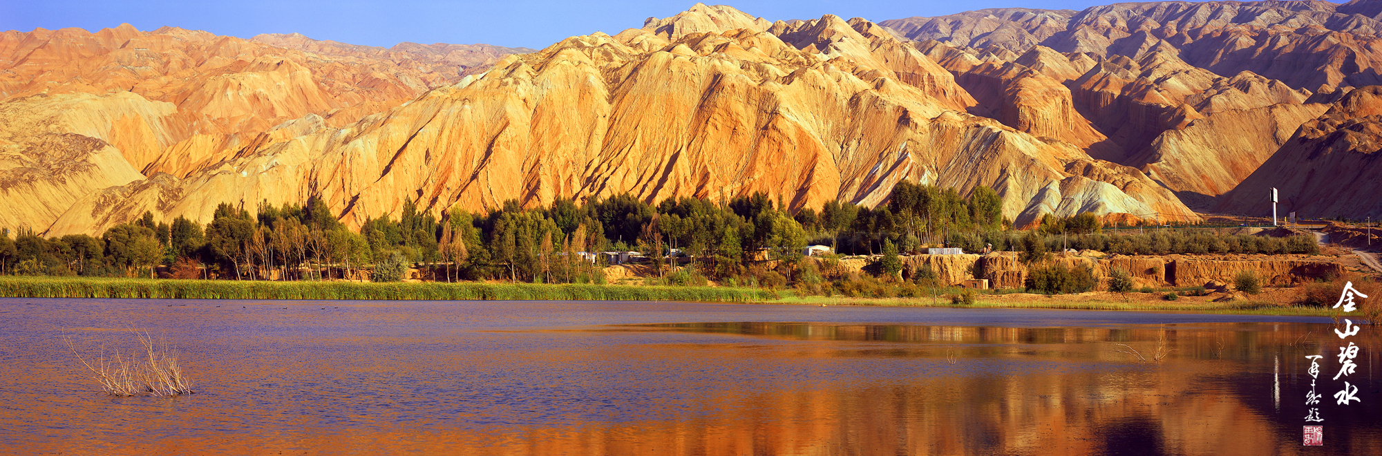 杨再春谈创立中国书法家协会,中国书法家协会创始人之一杨再春