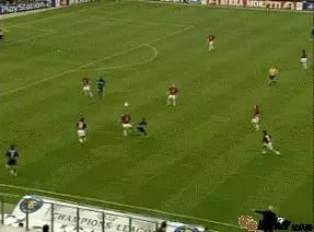 还记得马丁斯吗？那只在梅阿查和圣詹姆斯公园翱翔的雄鹰