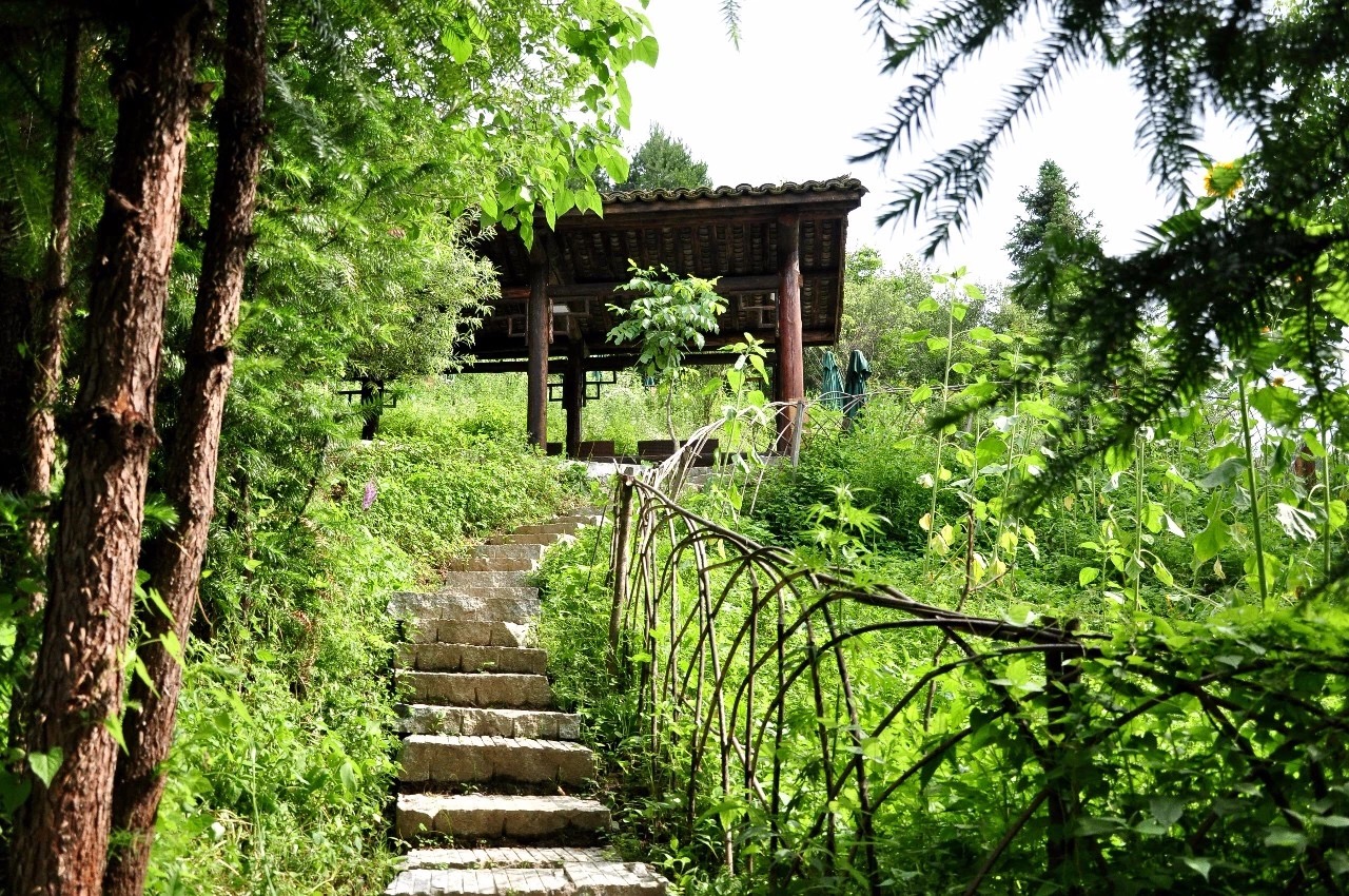 秦岭深处隐居生活,西安秦岭深处旅游
