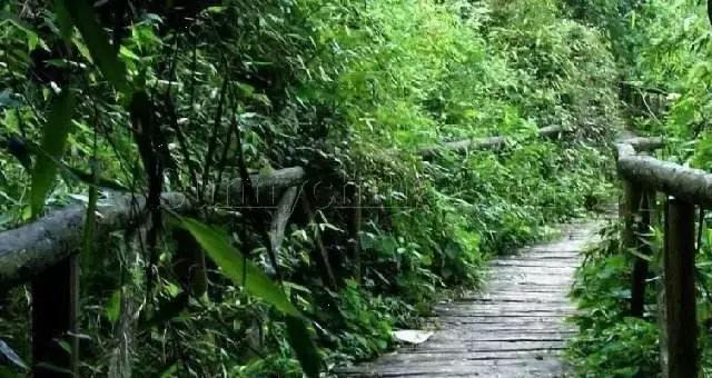 北京这38个森林公园您先收藏了!定个小目标,有空儿玩个遍!