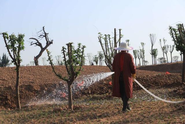浠ユ按娑﹀煄,娑﹀煄娌抽亾娌荤悊宸ョ▼