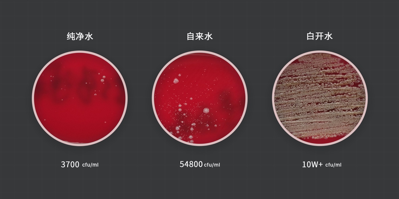 9成国人不会挑选加湿器：翻阅30万字论文，只为教你正确应对干燥
