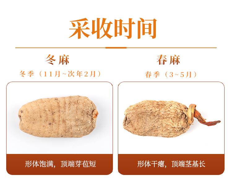 贵州道地药材天麻,道地药材天麻之乡