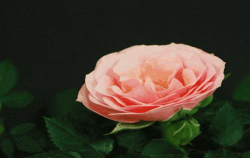 污话题|长时间“禁欲”会发生什么事？