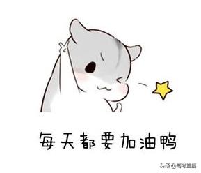 2019年有哪些学院升大学,今年有哪些学校升为本科院校