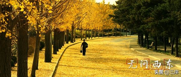 票房破十亿的电影,好看的票房过亿电影全集推荐