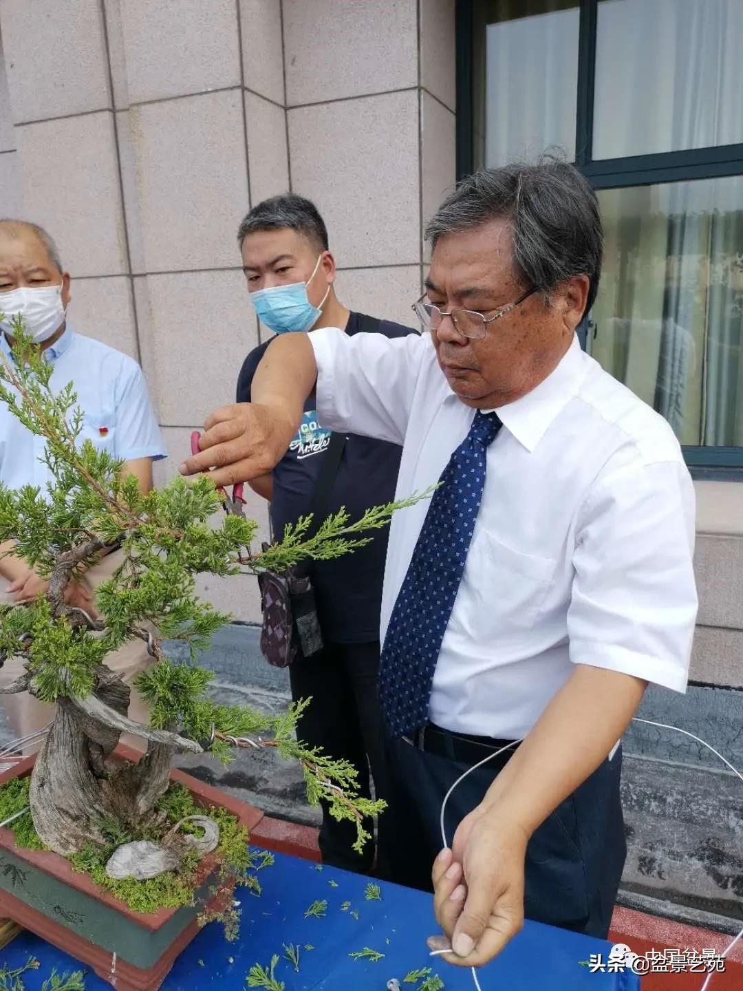 涓浗钁楀悕鐩嗘櫙澶у笀绮惧搧鐩嗘櫙,鐩嗘櫙鑹烘湳瀹跺拰鐩嗘櫙鑹烘湳澶у笀