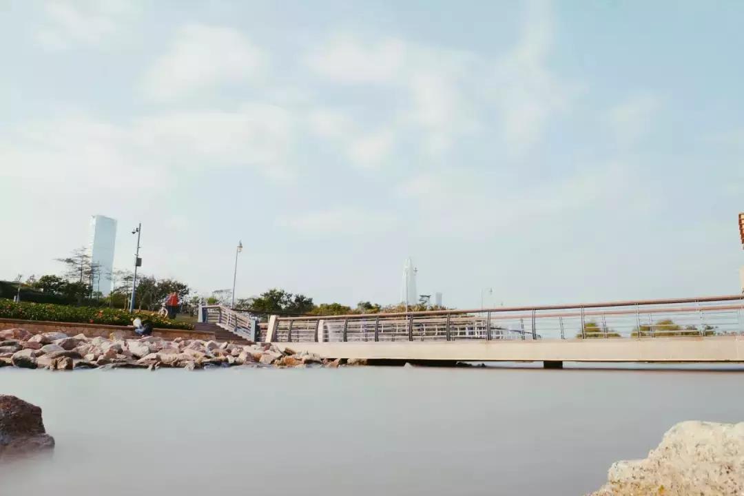 深圳湾公园这里有什么好吃的,深圳湾在哪里