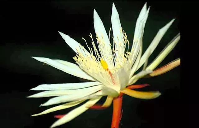 世界上最昂贵的东西是你的快乐,世界上最昂贵的东西就是你的快乐