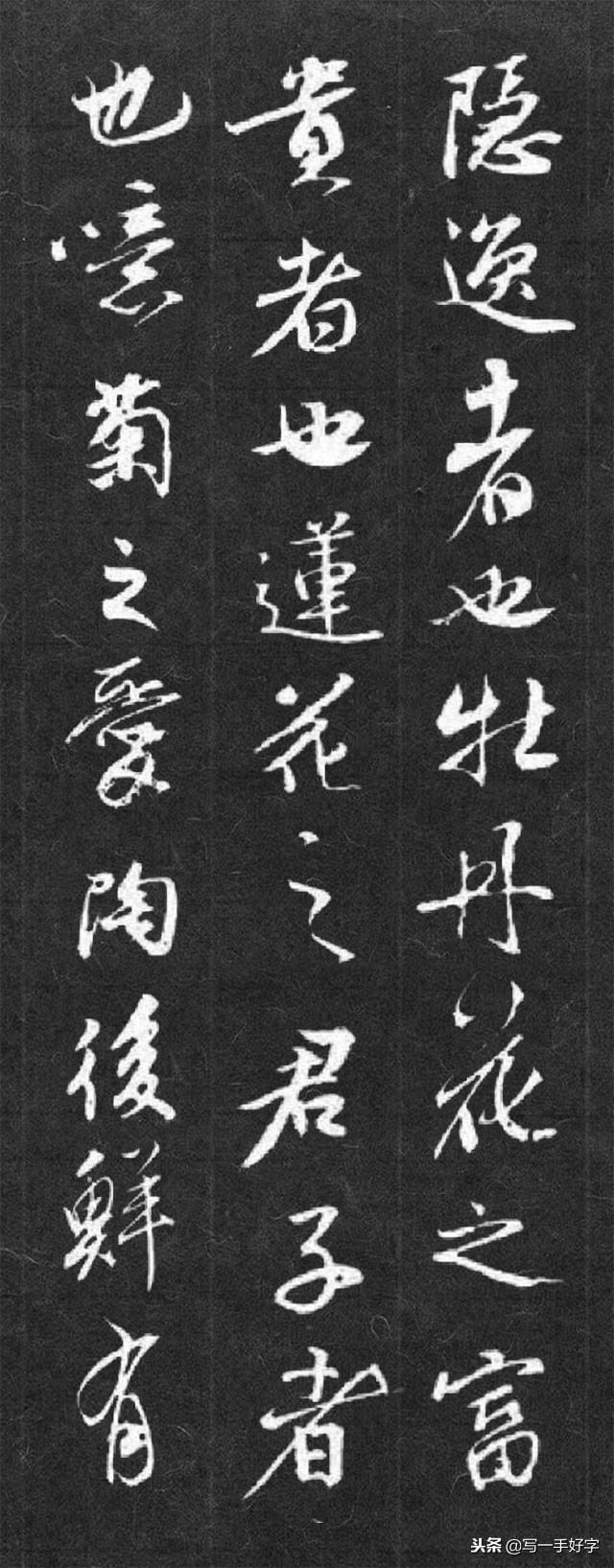 书法作品爱莲说创作说明,书法作品爱莲说展示模板