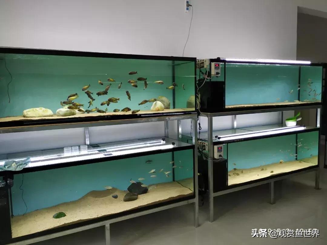 梦想的三湖世界持续建设中……方位:中国天津