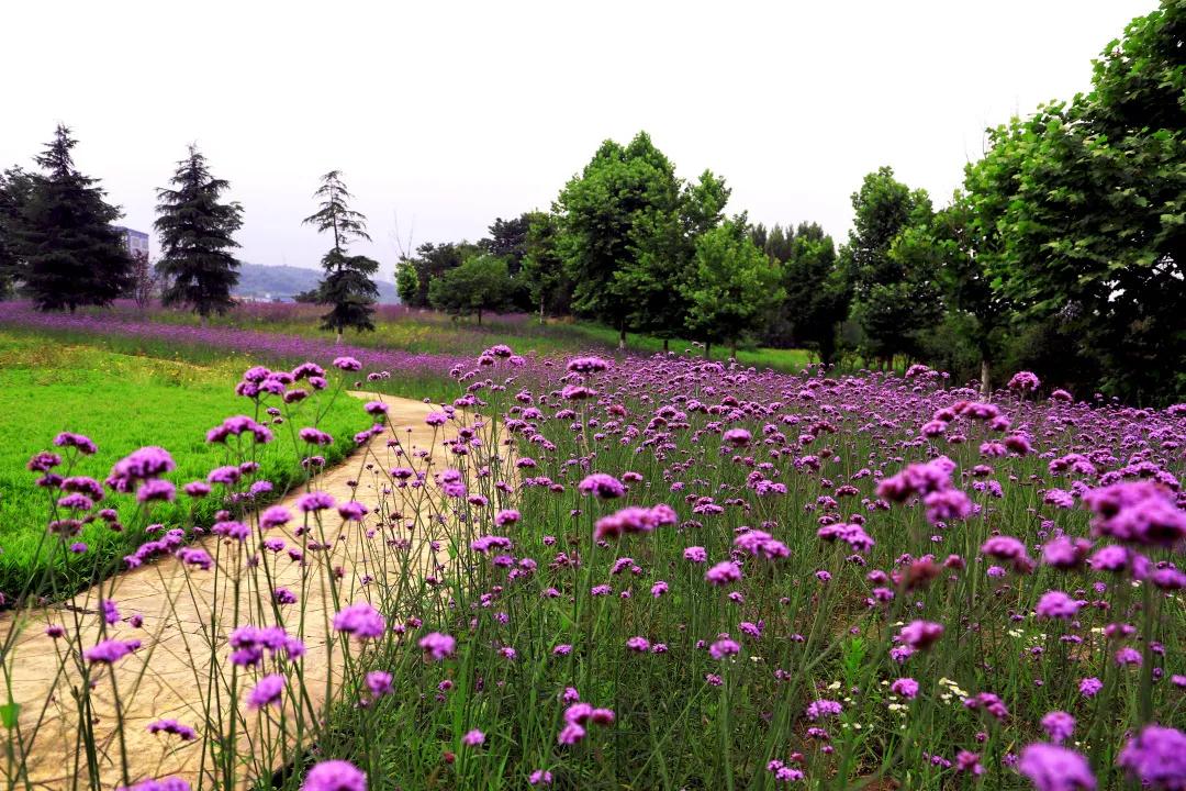 搞快点是哪里方言,搞快点