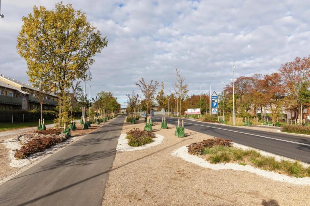 道路设计效果图,个性路面设计