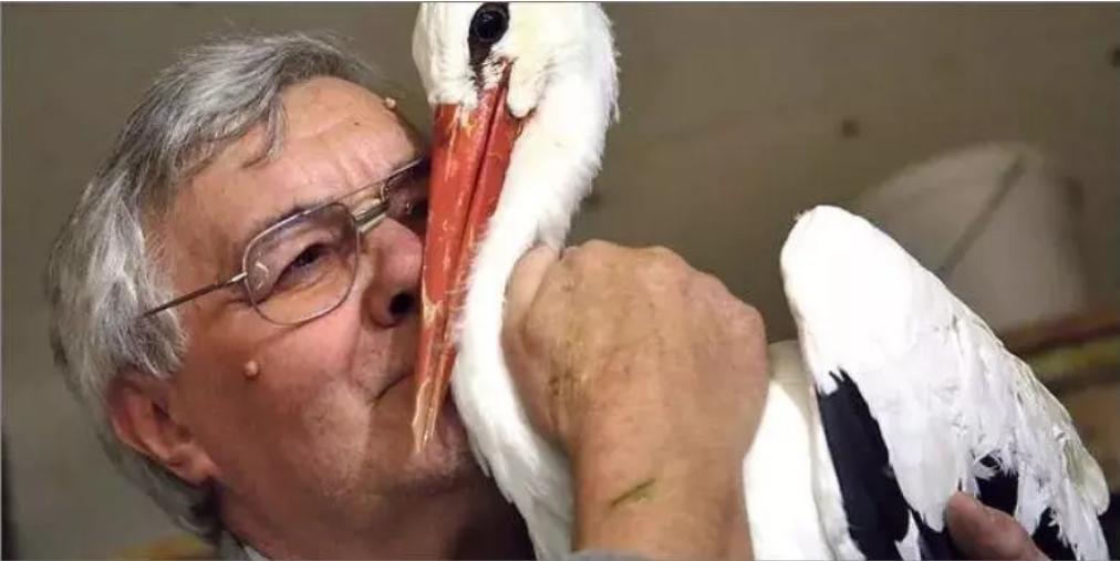 18年感人的爱情故事视频,18年的爱情故事