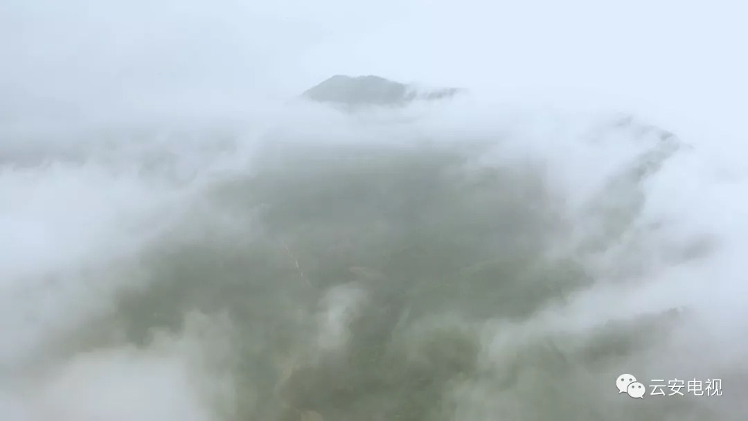 太美了！高村的云海景观恍如人间仙境