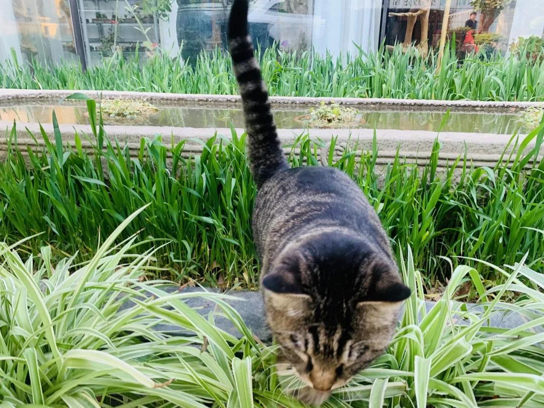 2019年掉缸事件,关于掉缸的事件