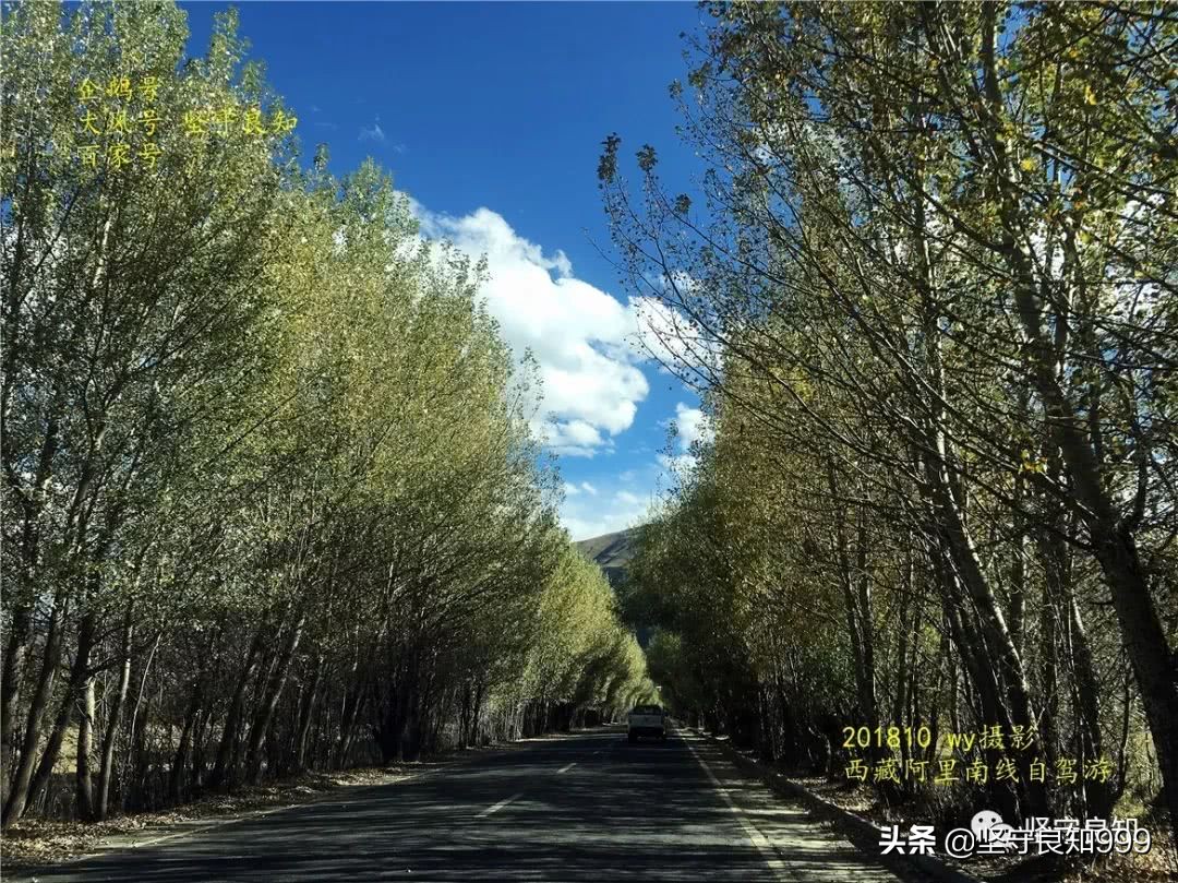 阿里大环线西藏圆梦之旅,西藏阿里南线7天详细攻略