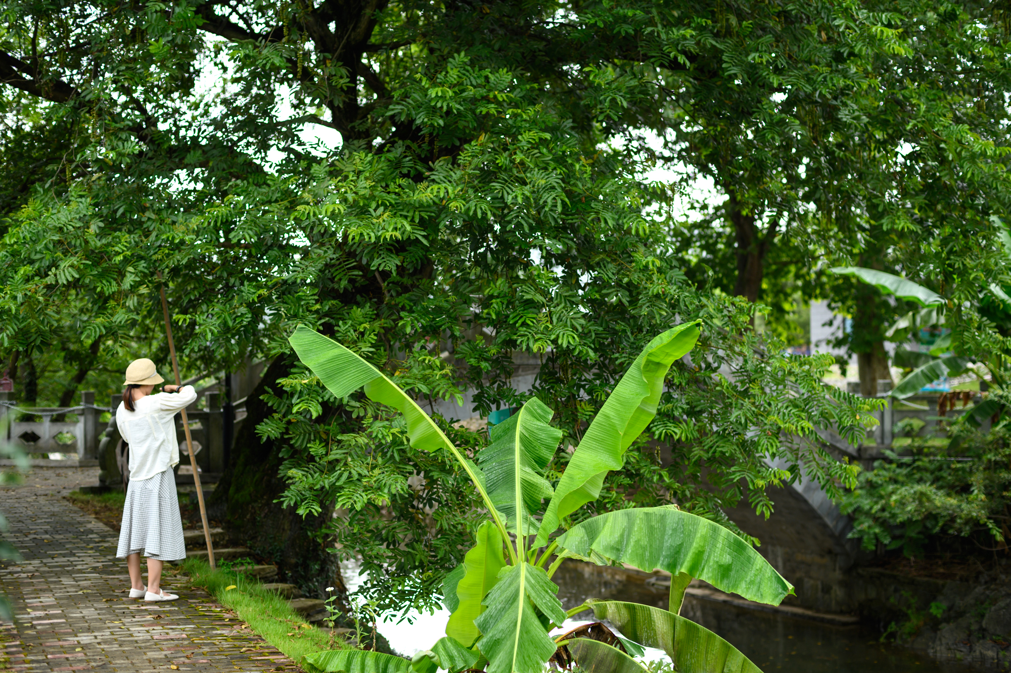 安徽宁国有哪些旅游景点,安徽宁国旅游必去十大景点有哪些