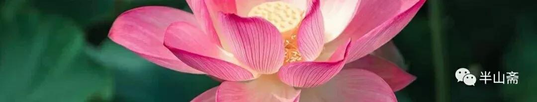 “扬五六尘”的湘潭人，以及“扬五六尘”这湘潭方言的出处？