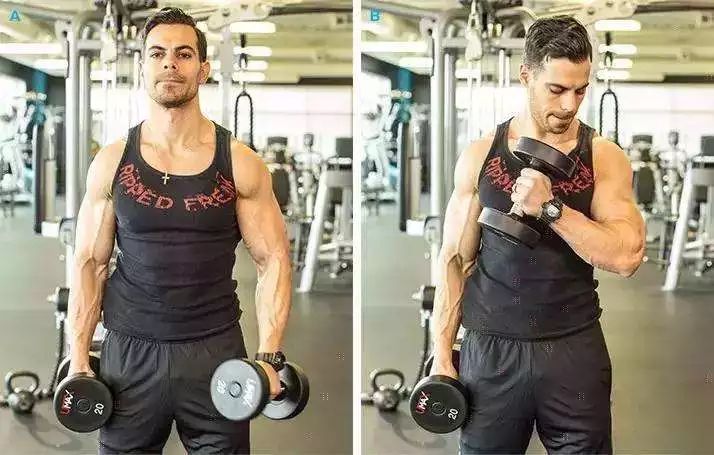 新手十公斤哑铃一周增肌训练计划,不要让你的哑铃锈迹斑斑