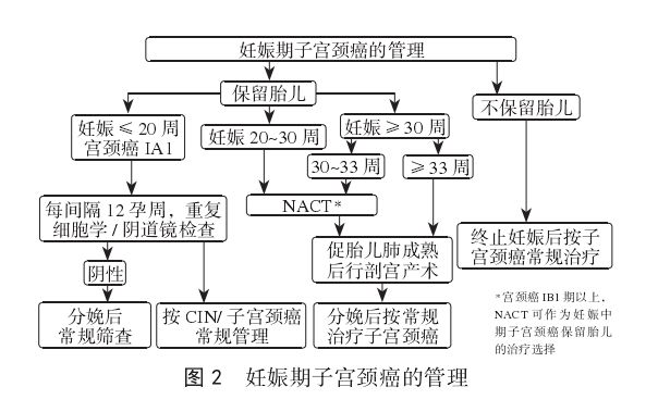 剖宫产手术专家共识,妊娠合并宫颈癌