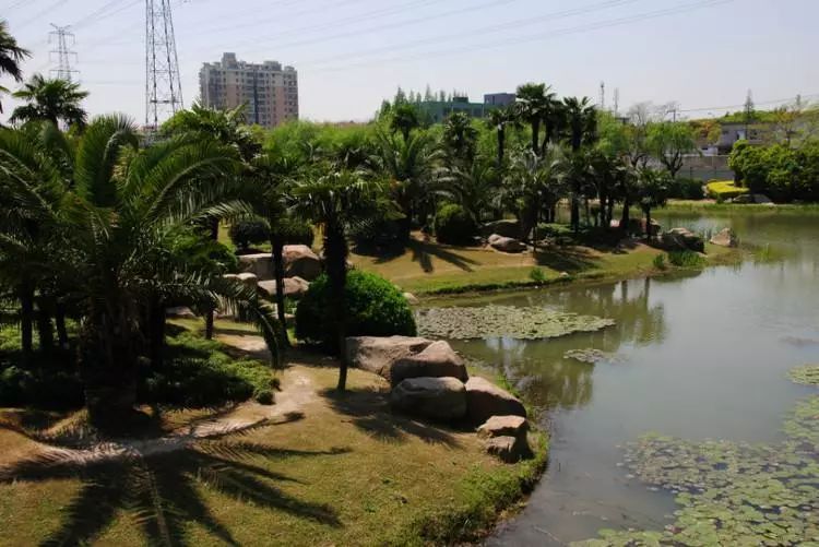 在上海一个月工资两万什么水平,月薪不过3万的看过来