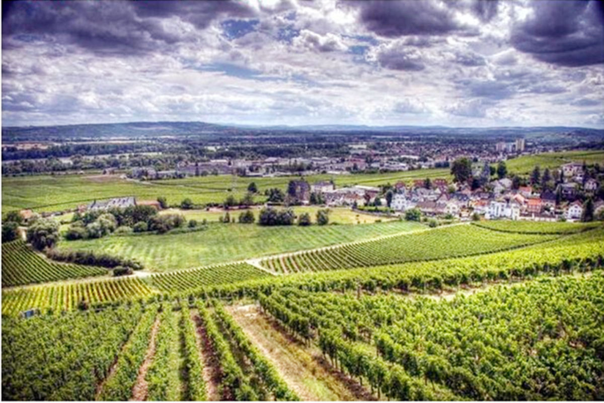 中国五大葡萄酒产区排名,中国有哪些著名葡萄酒产区和酒庄