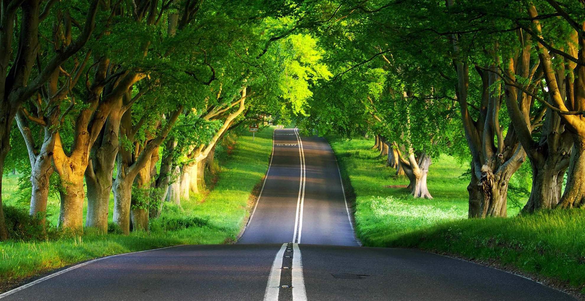 西方奇幻领主种田流小说书单推荐,奇幻领主种田争霸类小说推荐