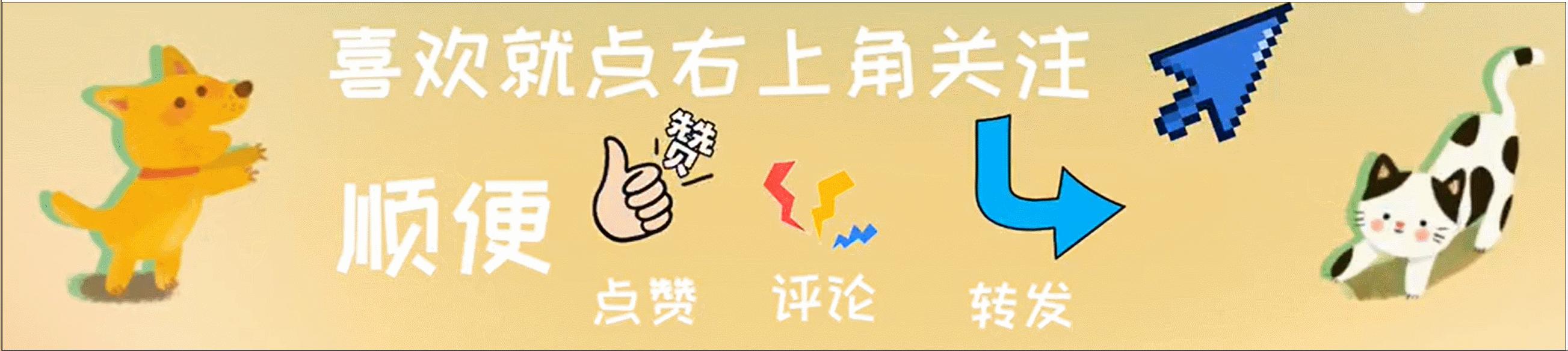 两台手推车被狗狗塞满，主人被迫手拿商品，这是在遛狗还是购物？
