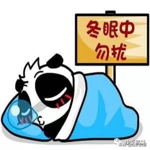 冬眠没完成怎么补救,进入冬眠的最佳方法