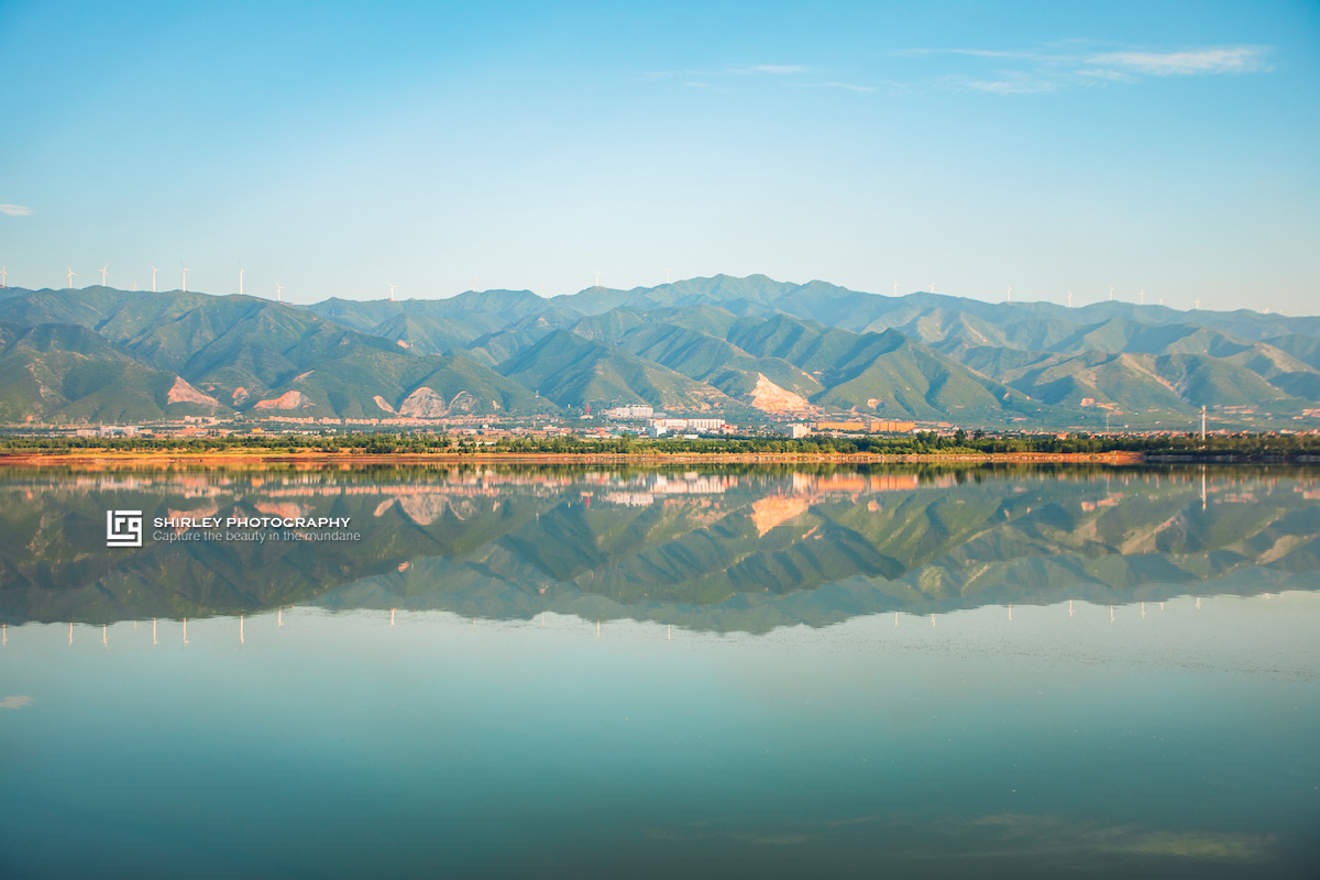 被中国人吃到濒临灭绝的食物,被中国人吃了千年不灭绝的食物