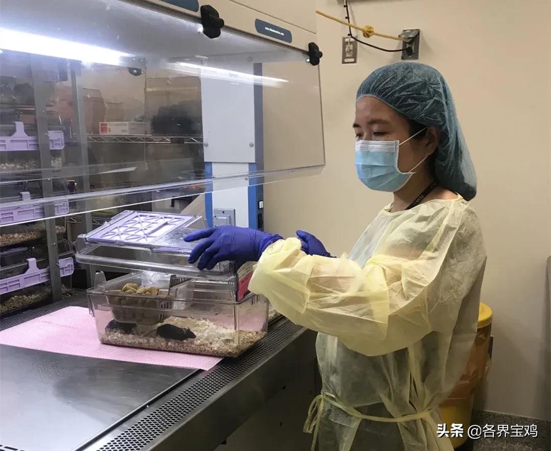 宝鸡市爱国奋斗人才标兵王娟,宝鸡市人民医院援沪医疗队王娟