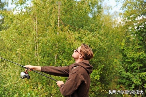 欧鲤钓鱼竿杆包,欧鲤钓竿的选择