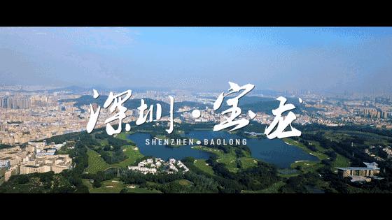 在深圳安家要有多少钱,在深圳安家真实感受